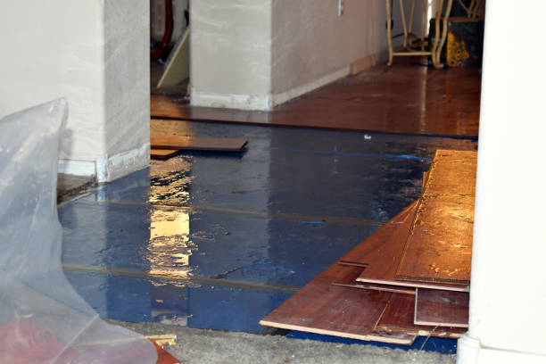 Professional Burst Pipe Cleanup technician working in Camden, MS